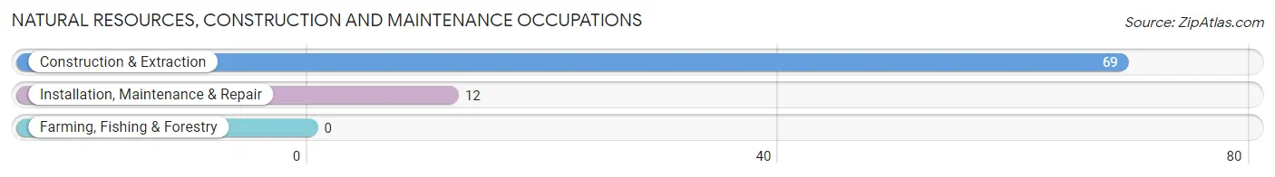 Natural Resources, Construction and Maintenance Occupations in Browntown