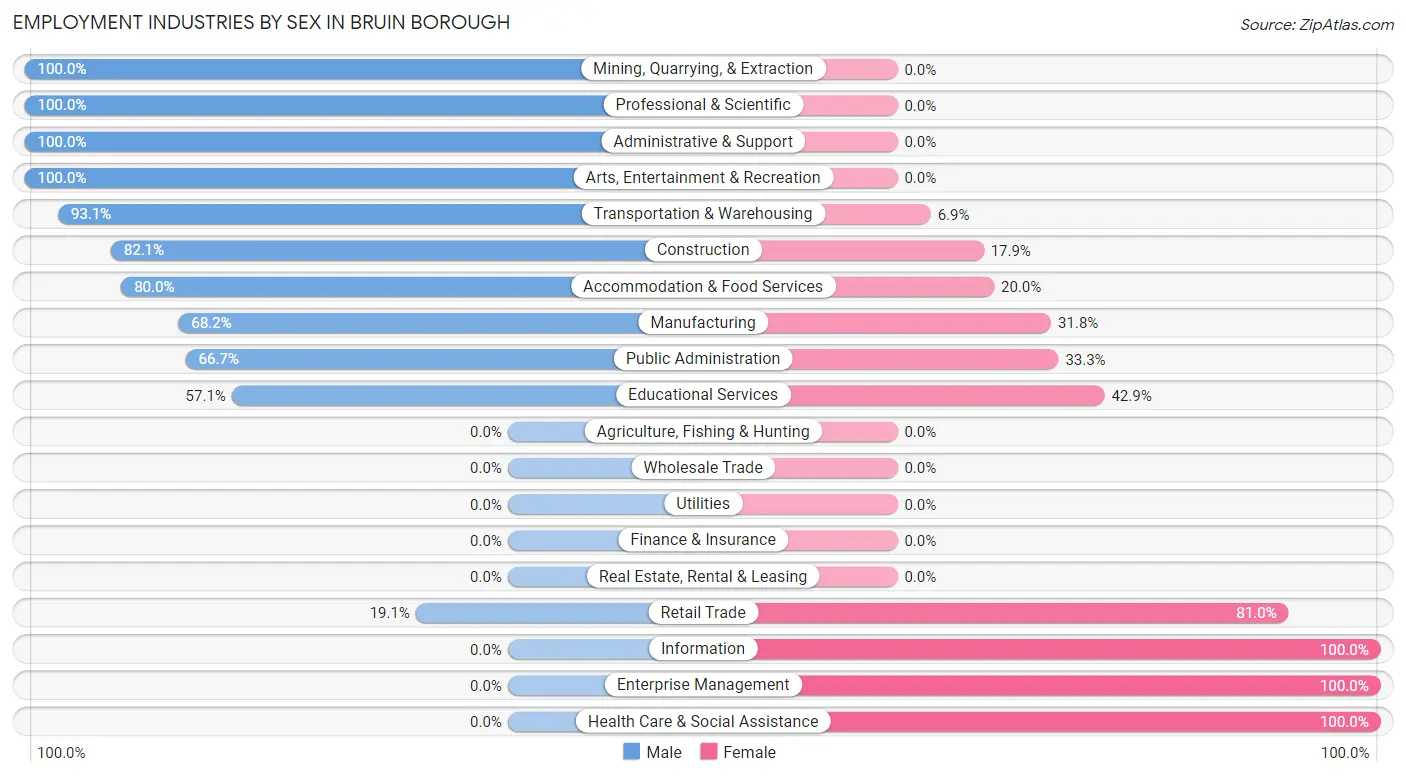 Employment Industries by Sex in Bruin borough