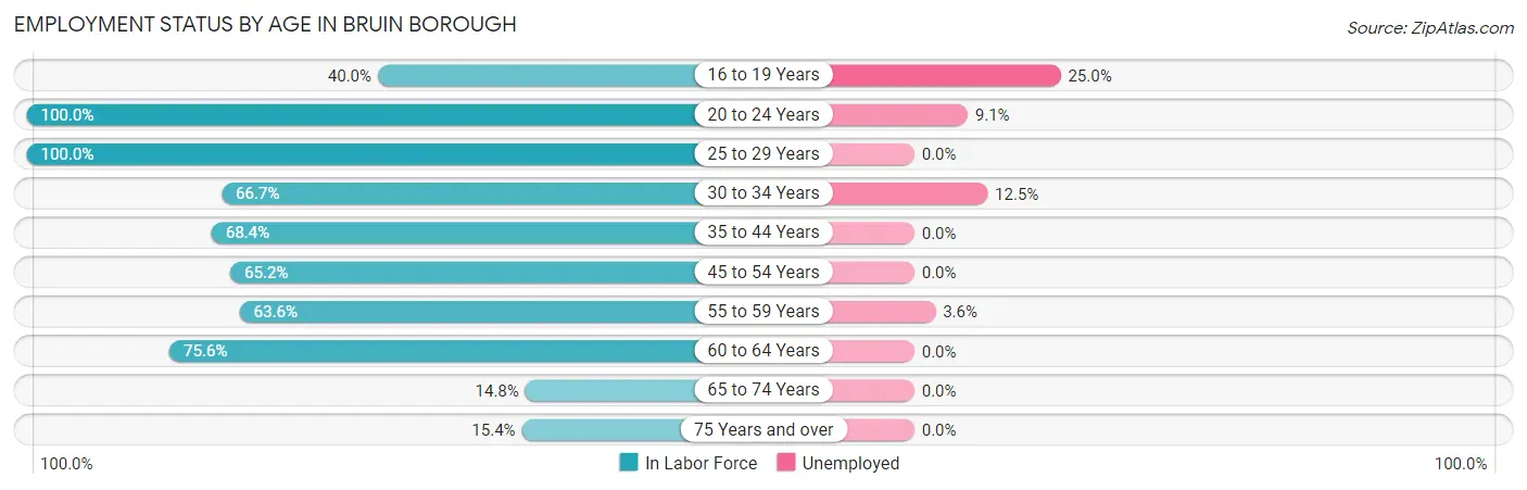 Employment Status by Age in Bruin borough
