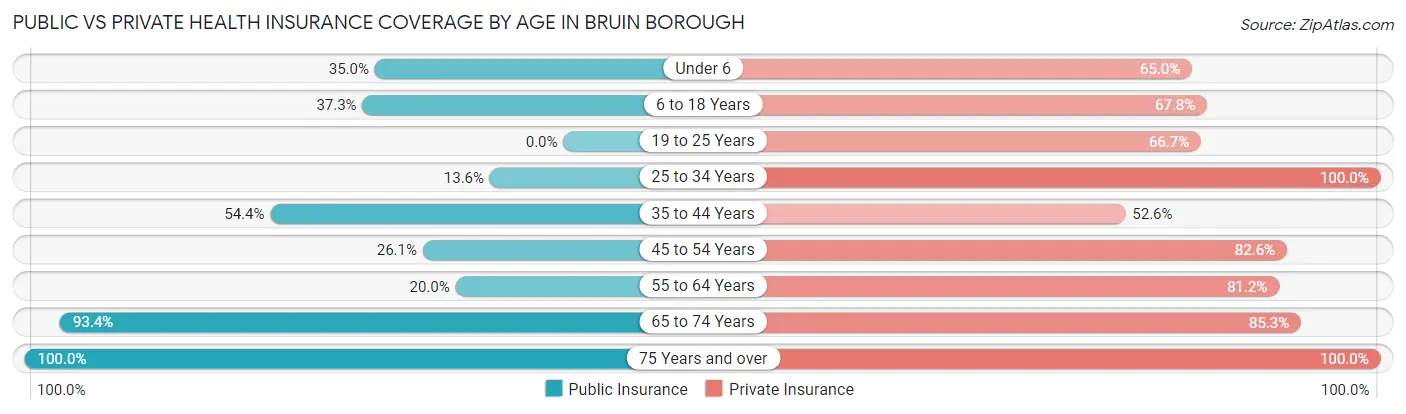 Public vs Private Health Insurance Coverage by Age in Bruin borough