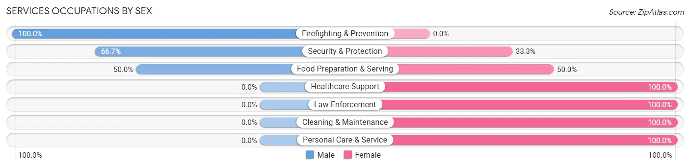 Services Occupations by Sex in Bruin borough