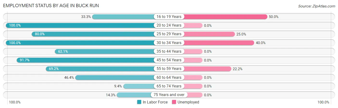 Employment Status by Age in Buck Run