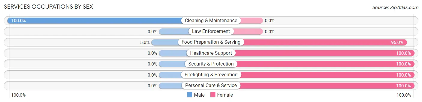 Services Occupations by Sex in Burgettstown borough