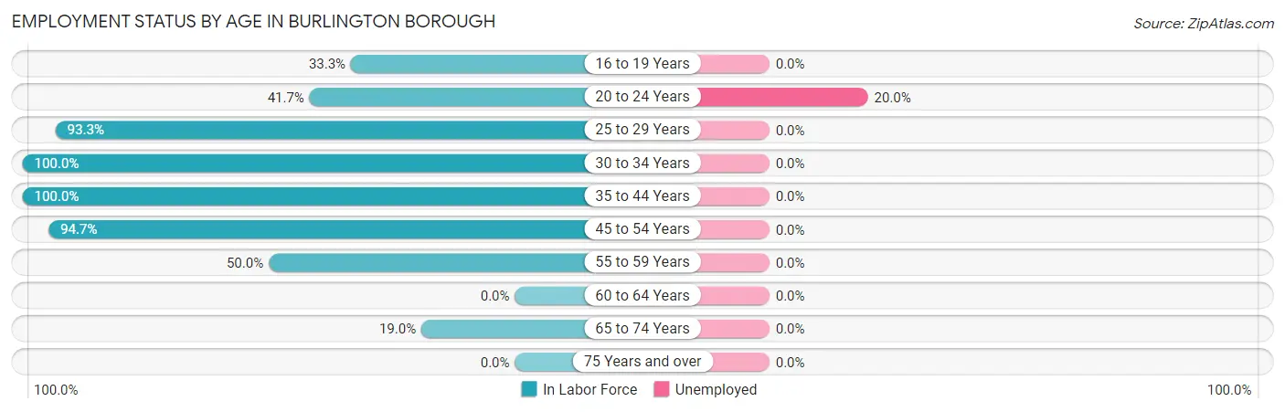 Employment Status by Age in Burlington borough