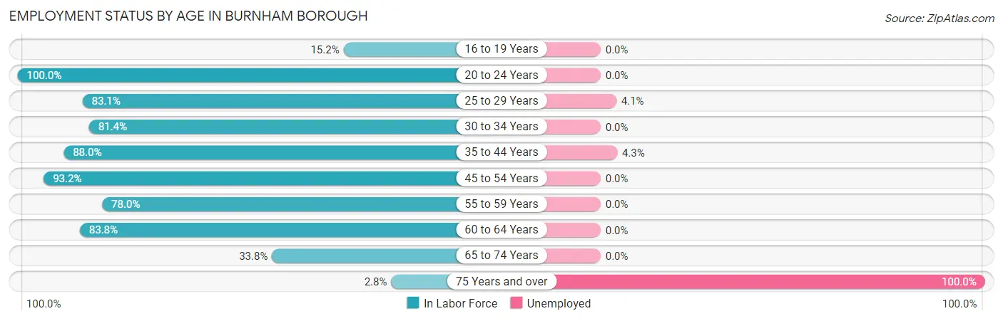 Employment Status by Age in Burnham borough