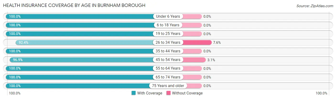 Health Insurance Coverage by Age in Burnham borough