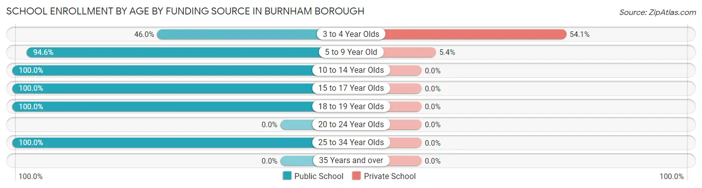 School Enrollment by Age by Funding Source in Burnham borough