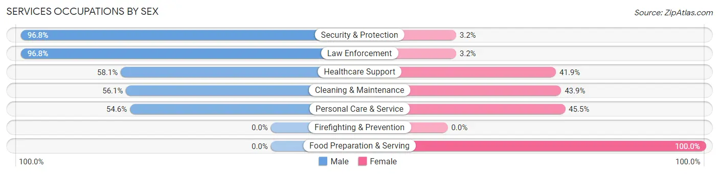 Services Occupations by Sex in Burnham borough