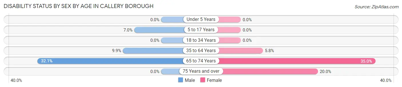 Disability Status by Sex by Age in Callery borough