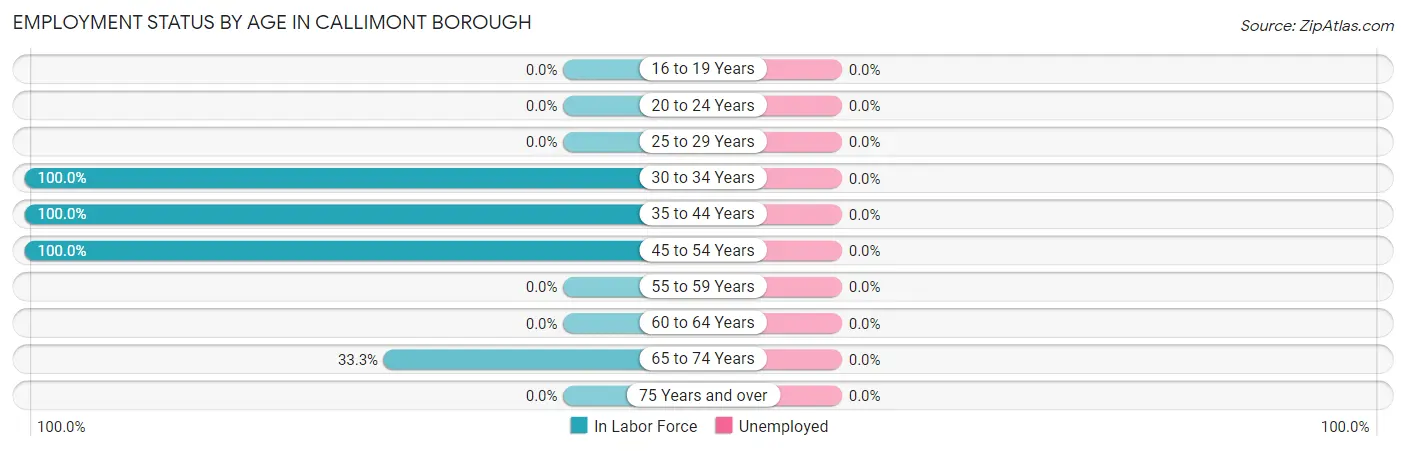 Employment Status by Age in Callimont borough