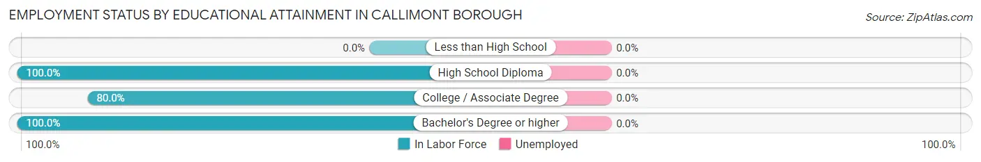 Employment Status by Educational Attainment in Callimont borough