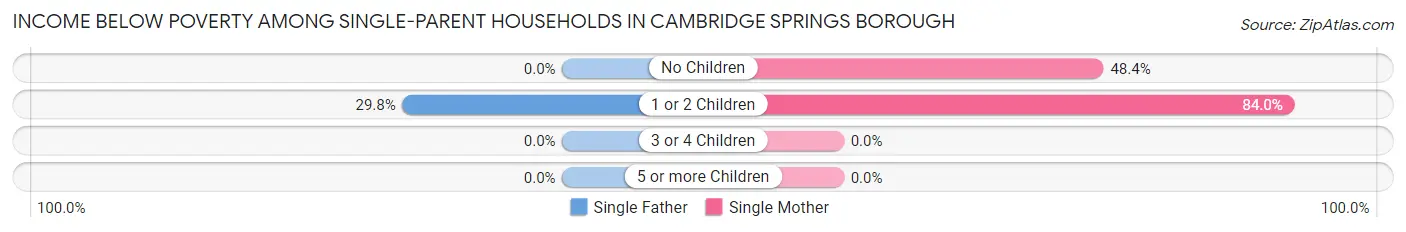 Income Below Poverty Among Single-Parent Households in Cambridge Springs borough