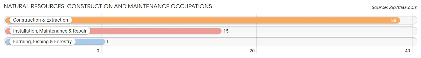 Natural Resources, Construction and Maintenance Occupations in Cambridge Springs borough