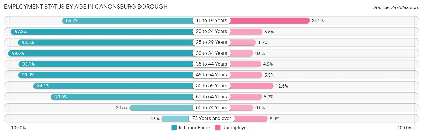 Employment Status by Age in Canonsburg borough