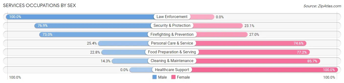 Services Occupations by Sex in Canonsburg borough