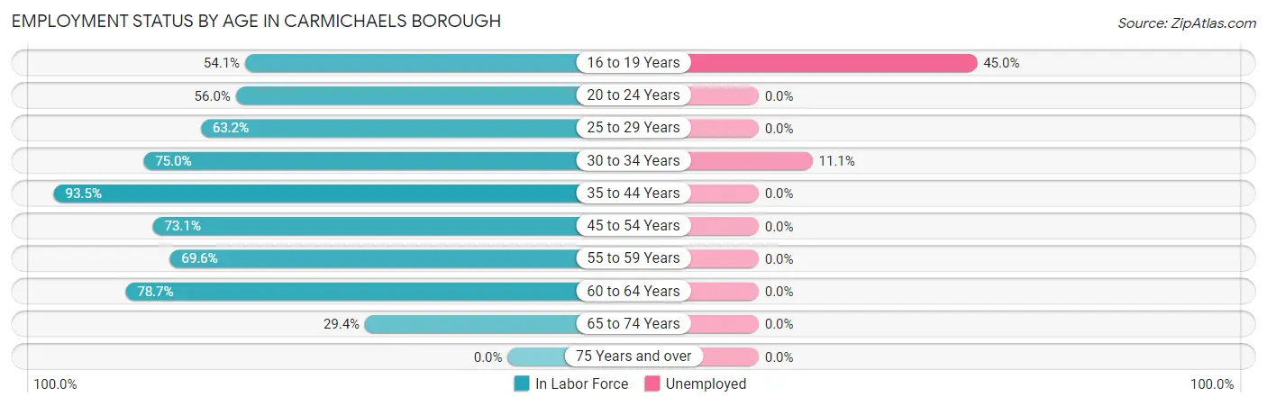 Employment Status by Age in Carmichaels borough