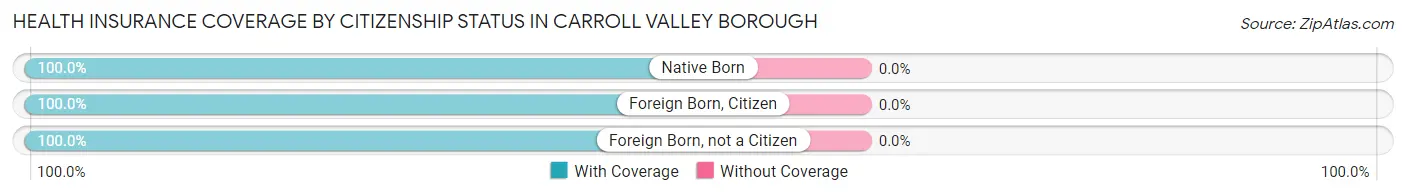 Health Insurance Coverage by Citizenship Status in Carroll Valley borough