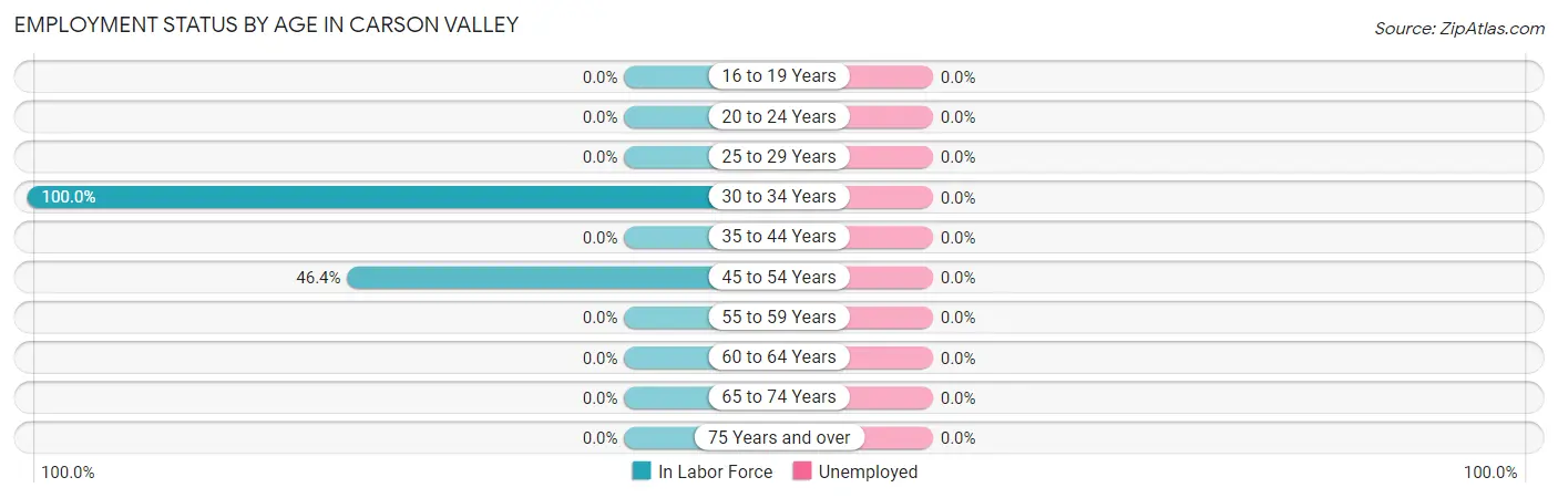 Employment Status by Age in Carson Valley