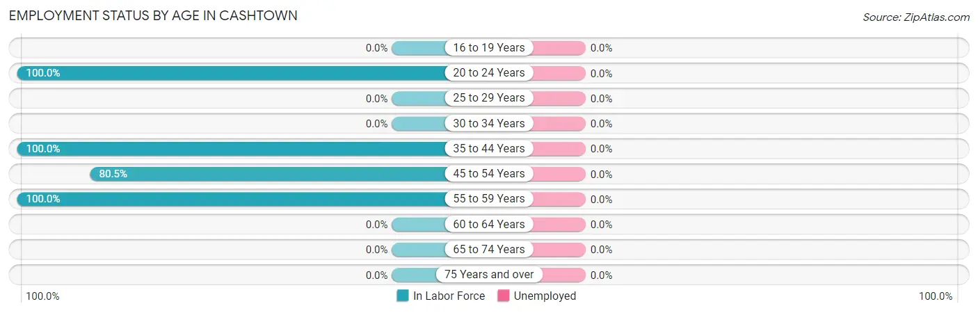 Employment Status by Age in Cashtown