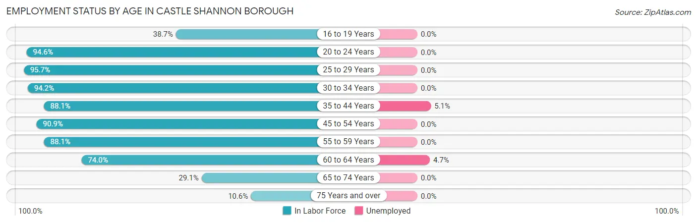 Employment Status by Age in Castle Shannon borough