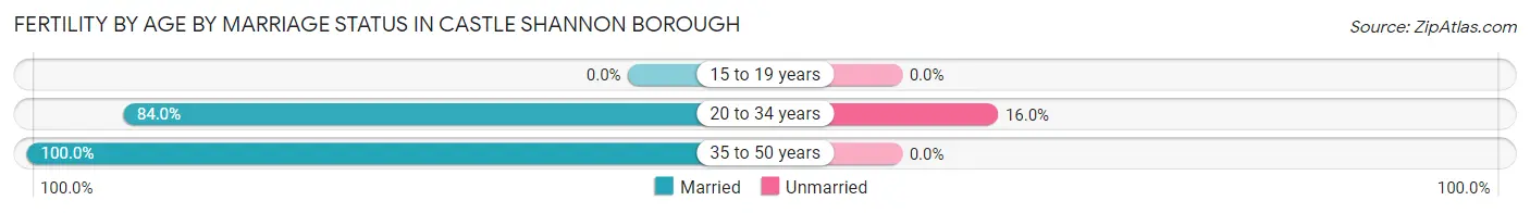 Female Fertility by Age by Marriage Status in Castle Shannon borough