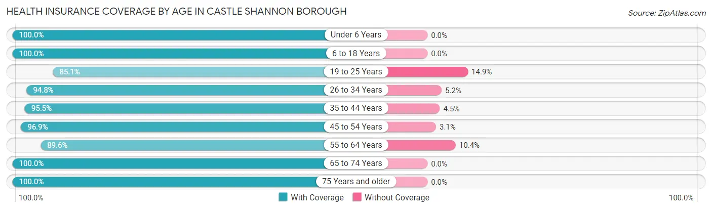 Health Insurance Coverage by Age in Castle Shannon borough