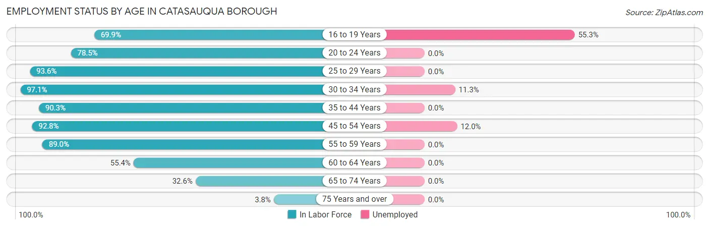 Employment Status by Age in Catasauqua borough