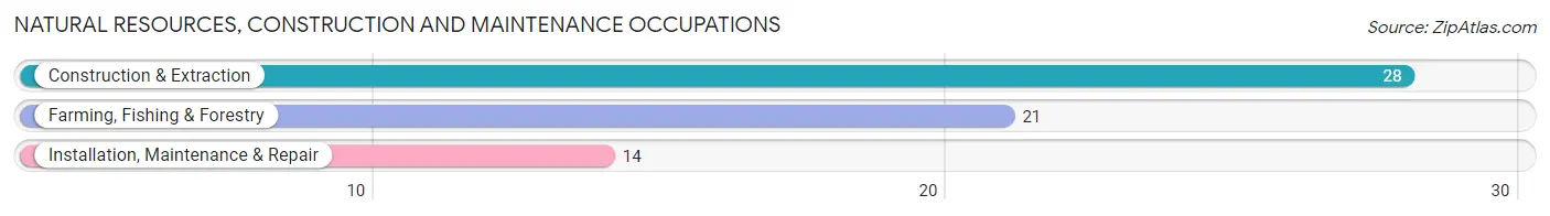 Natural Resources, Construction and Maintenance Occupations in Catawissa borough