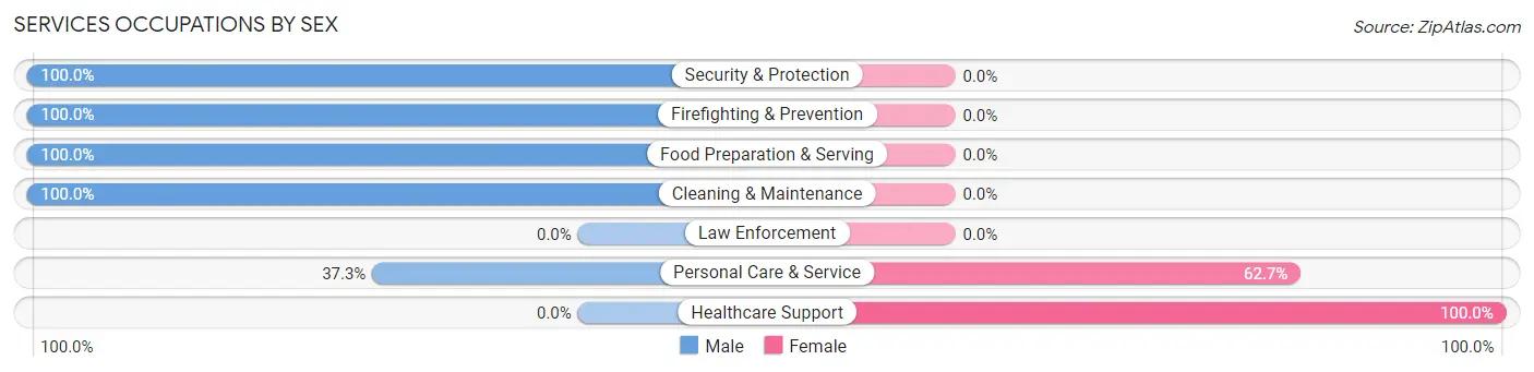 Services Occupations by Sex in Centerville borough Washington County