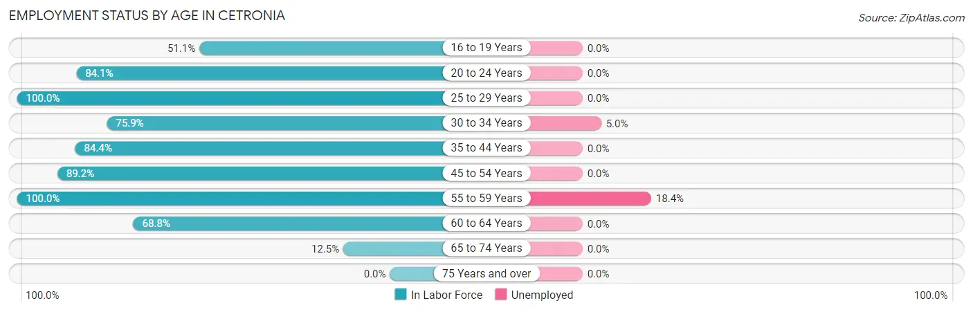 Employment Status by Age in Cetronia