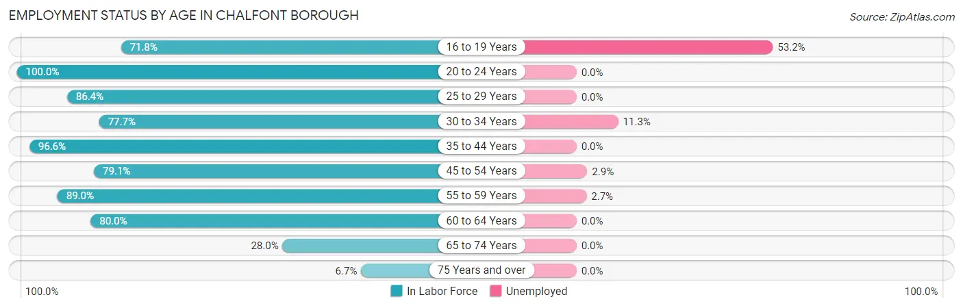 Employment Status by Age in Chalfont borough
