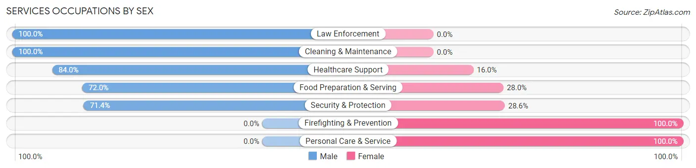 Services Occupations by Sex in Chalfont borough