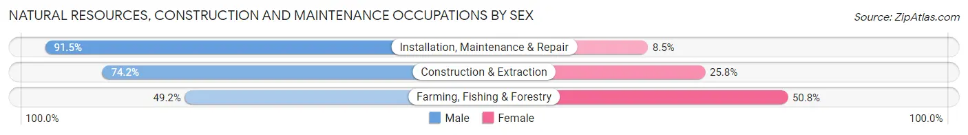 Natural Resources, Construction and Maintenance Occupations by Sex in Chambersburg borough