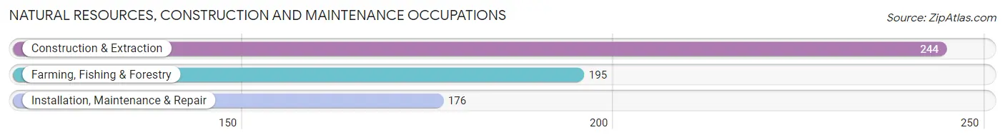 Natural Resources, Construction and Maintenance Occupations in Chambersburg borough