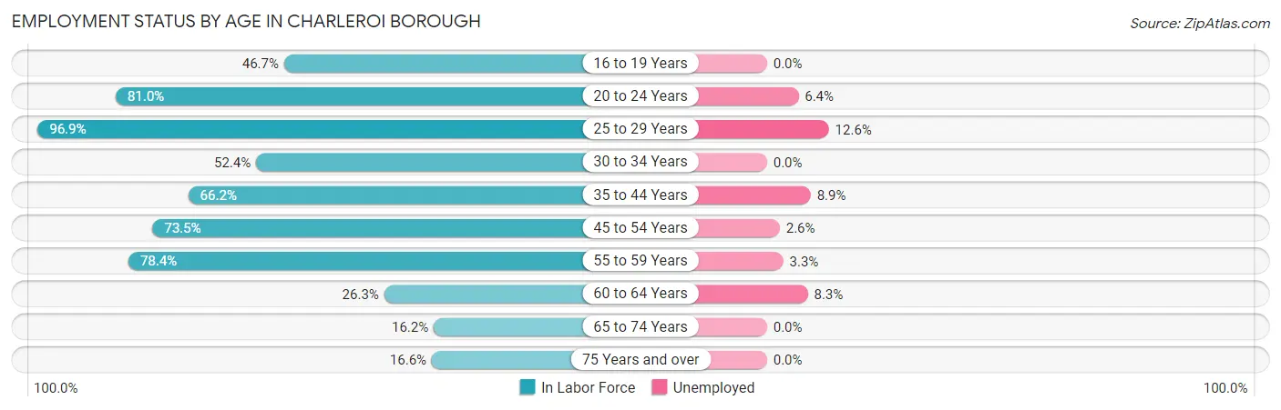 Employment Status by Age in Charleroi borough