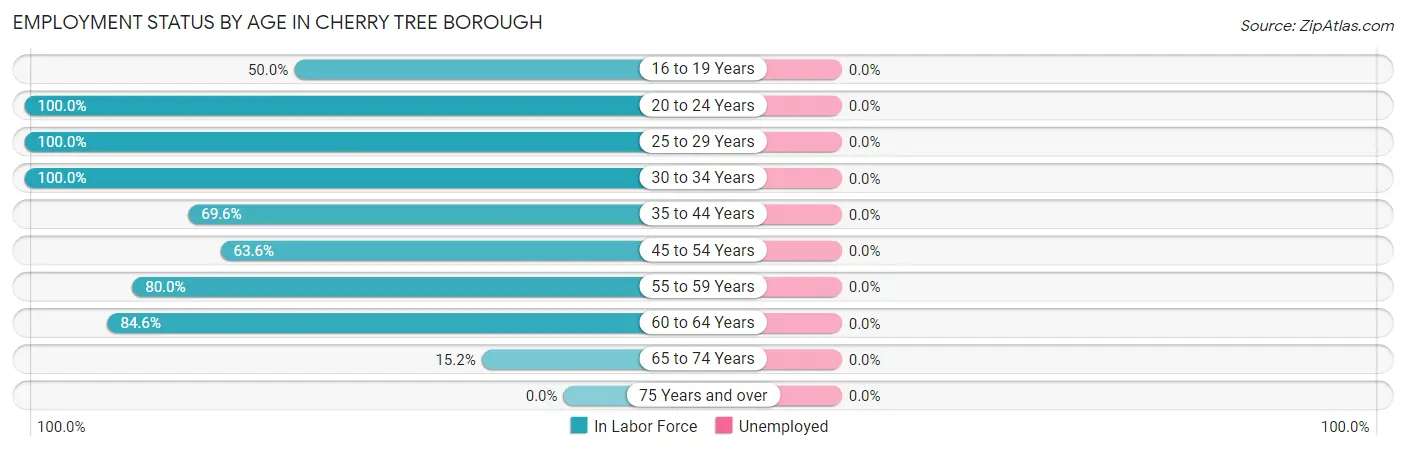 Employment Status by Age in Cherry Tree borough