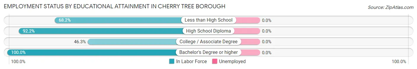 Employment Status by Educational Attainment in Cherry Tree borough