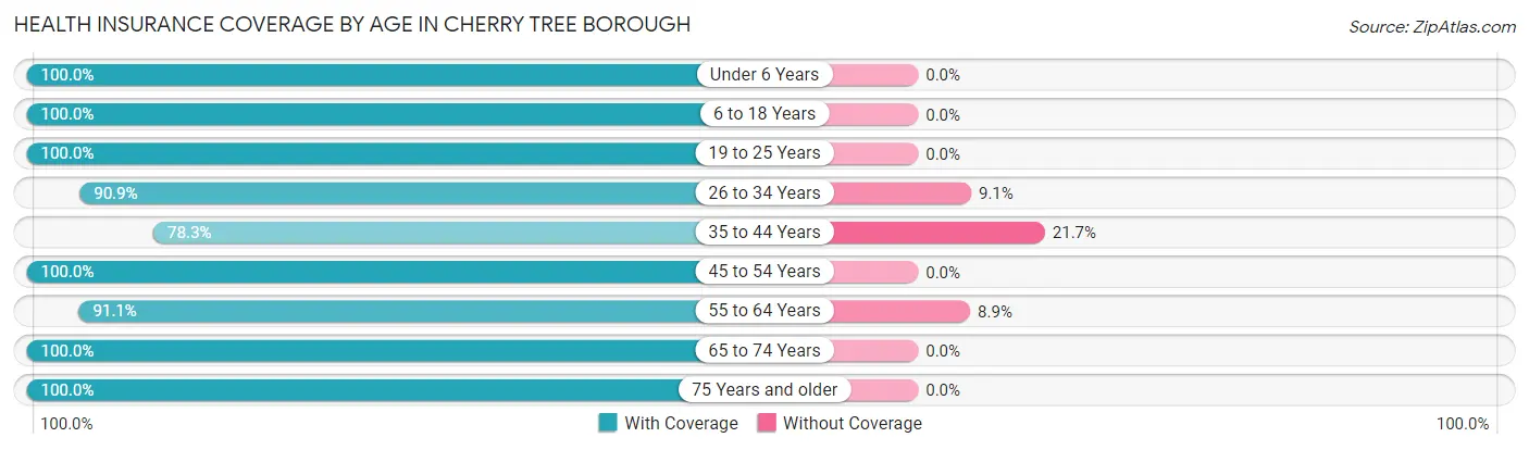 Health Insurance Coverage by Age in Cherry Tree borough