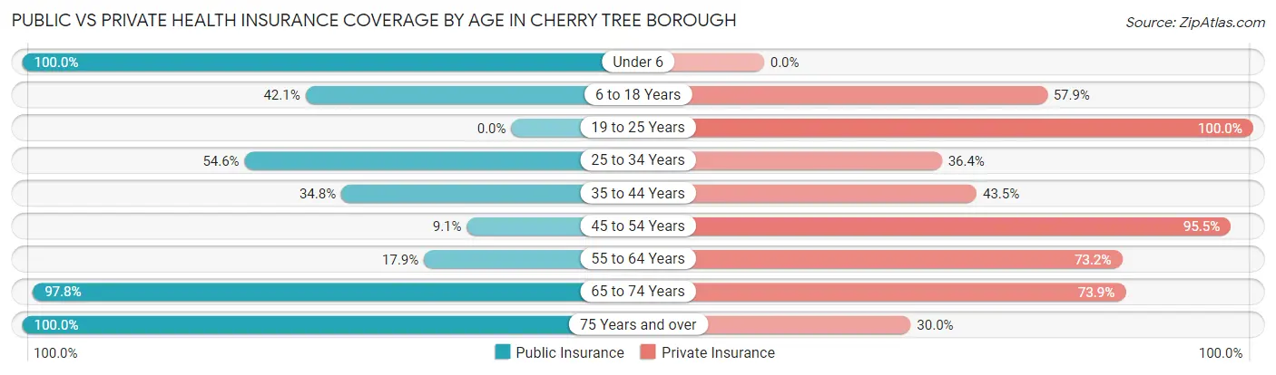 Public vs Private Health Insurance Coverage by Age in Cherry Tree borough