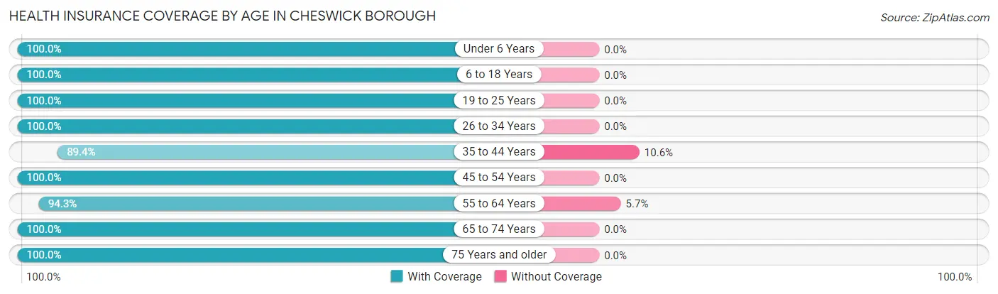 Health Insurance Coverage by Age in Cheswick borough