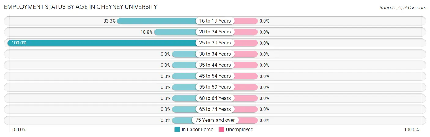Employment Status by Age in Cheyney University