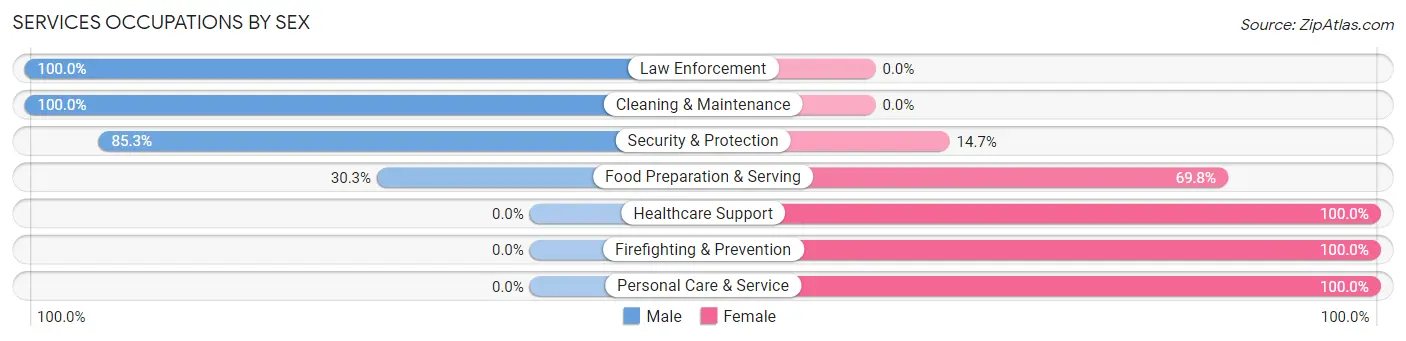 Services Occupations by Sex in Churchville