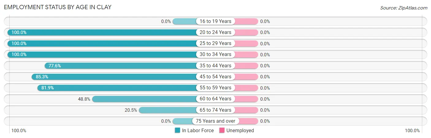 Employment Status by Age in Clay