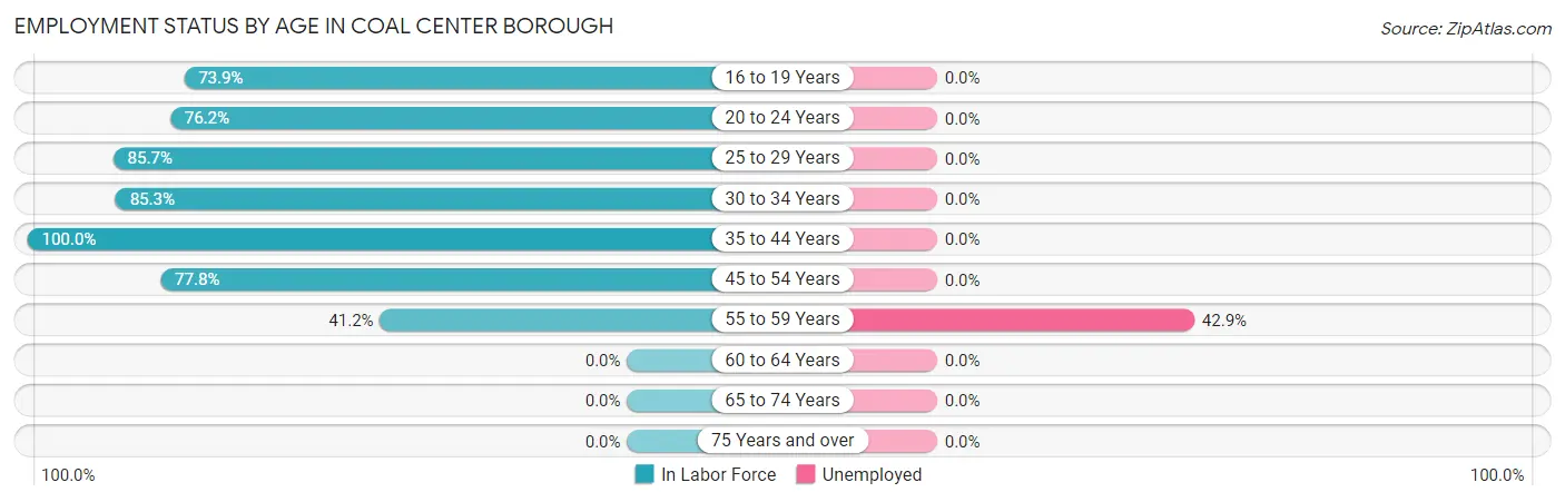 Employment Status by Age in Coal Center borough