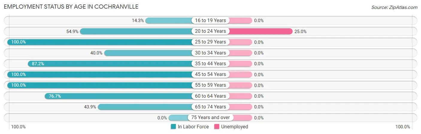 Employment Status by Age in Cochranville