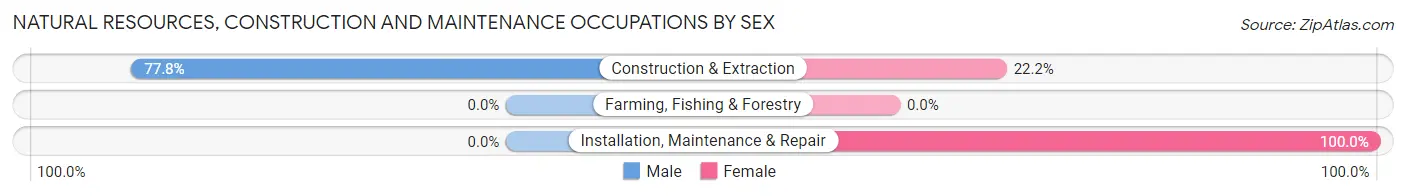 Natural Resources, Construction and Maintenance Occupations by Sex in Collegeville borough
