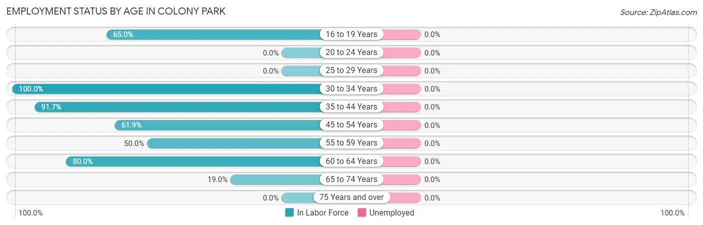 Employment Status by Age in Colony Park