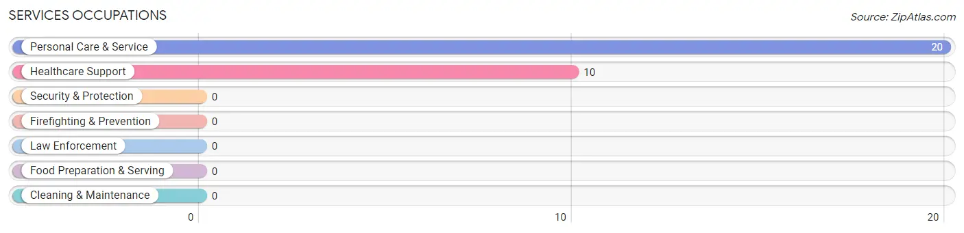 Services Occupations in Colony Park