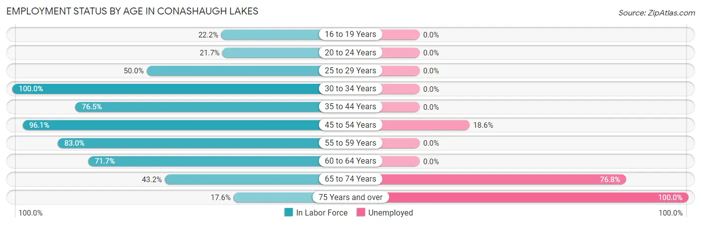 Employment Status by Age in Conashaugh Lakes