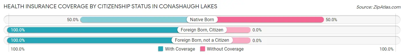 Health Insurance Coverage by Citizenship Status in Conashaugh Lakes
